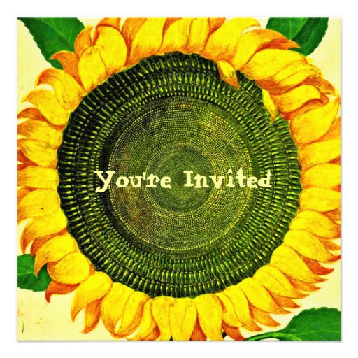 Vintage Sunflower Invitation