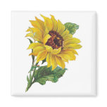 vintage gift mall, vintage, gift, mall,