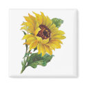 Vintage Sunflower Magnets by vintagegiftmall Vintage Sunflower Magnets
