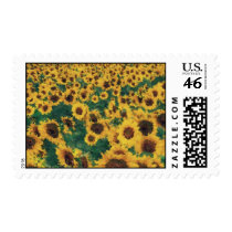 Vintage Sunflower painting art postage