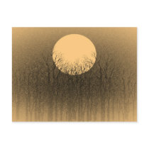 Vintage Sunset postcards