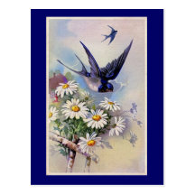 Vintage Swallow Print Postcard