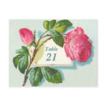 Vintage Table Number Postcard