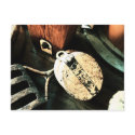 Vintage Tall Ship Pulleys postcards