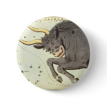 Vintage Taurus buttons