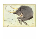 Vintage Taurus t-shirts by YesterdayCafe Vintage Taurus t-shirts