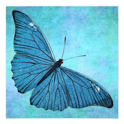 Vintage Teal Blue Butterfly 1800s Illustration Custom Invitation