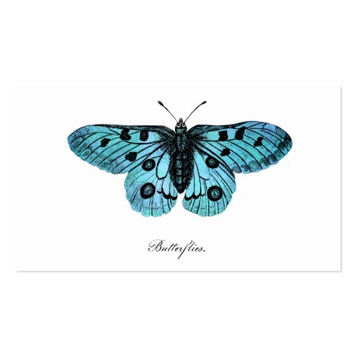 Vintage Teal Blue Butterfly Illustration - 1800's Business Card Templates (front side)