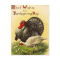 Vintage Thanksgiving Day Turkey Postcard
