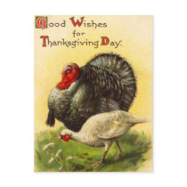 Vintage Thanksgiving Day Turkey Postcard