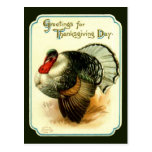 Vintage Thanksgiving Day Turkey Postcard