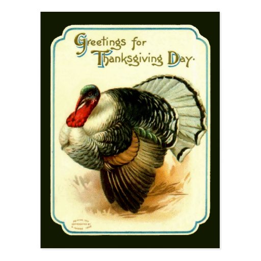 Vintage Thanksgiving Day Turkey Postcard