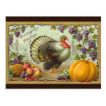 Vintage Thanksgiving Greetings Postcard