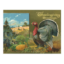 Vintage Thanksgiving Greetings with a Turkey Farm Post Cards
