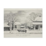 Vintage Thanksgiving Postcards