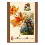 Vintage Thanksgiving Postcard