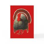 Vintage Thanksgiving Turkey Greeting Card