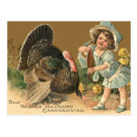 Vintage Thanksgiving Turkey II Postcard