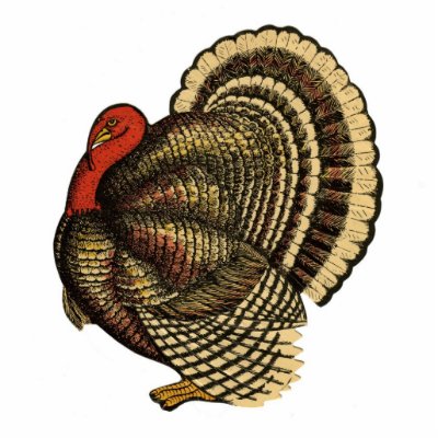 Vintage Thanksgiving Turkey Pin Cut Outs by lkranieri