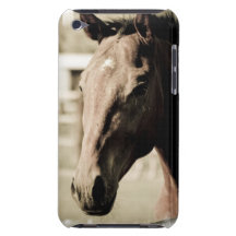 Vintage Thoroughbred  iTouch Case iPod Touch Cases