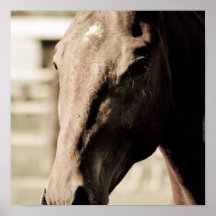 Vintage Thoroughbred Poster