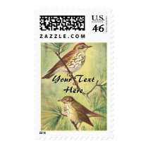 Vintage Thrushes Postage postage