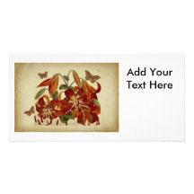 Vintage Tiger Lilies and Butterflies Custom Photo Card