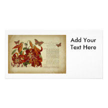 Vintage Tiger Lily Botanical Illustration Personalized Photo Card