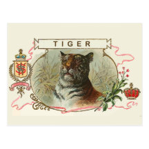 Vintage Tiger Post Cards