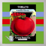 Vintage Tomato Seed Poster