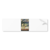 Vintage Travel Poster Ad Retro Prints Bumper Sticker