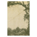 Vintage Tree Background
