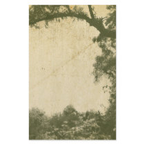 Vintage Tree Background stationery by Pixel_Bunneh Vintage Tree Background stationery