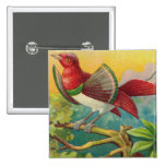 Vintage Tropical Bird Print Buttons