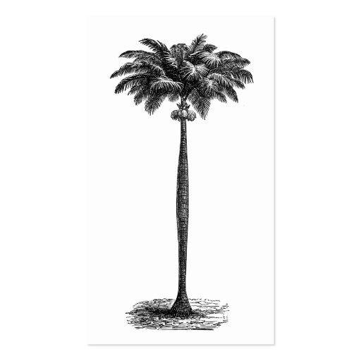 Vintage Tropical Island Palm Tree Template Blank Business Card Templates (front side)