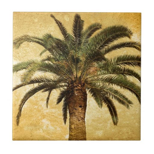 Vintage Tropical Palm Tree Tile Zazzle