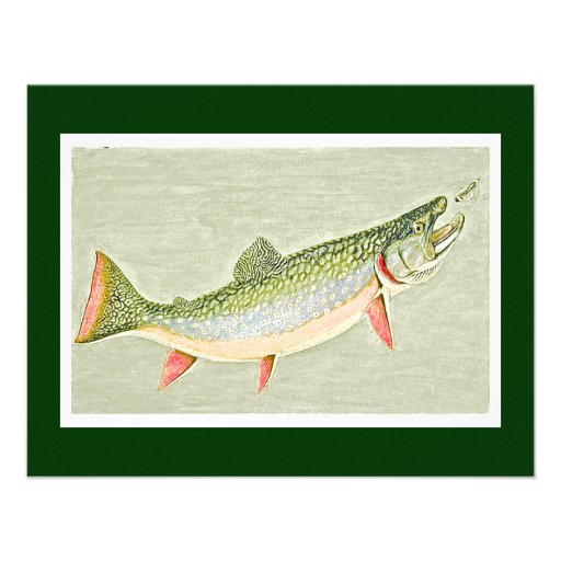 Vintage Trout fly fishing art Invite