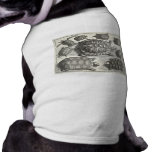 Vintage Turtle Etching Pet Tee