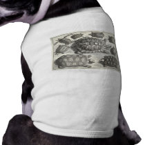 Vintage Turtle Etching Pet Tee