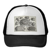 Vintage Turtle Etching Hat
