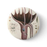 Vintage Umbrella Squid Button