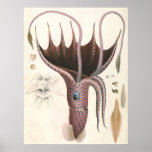 Vintage Umbrella Squid Posters