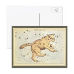 Vintage Ursa Major Constellation; Great Bear Postcard