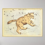 Vintage Ursa Major Constellation; Great Bear Posters