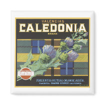 Vintage Valencia Caledonia Oranges Fruit Crate Lab magnets by vintagegiftmall Vintage Valencia Caledonia Oranges Fruit Crate Lab magnets
