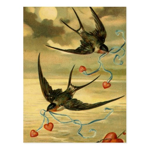 Vintage Valentine Barn Swallows With Hearts Postcard