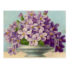 Vintage Vase of Purple Flowers Post Card