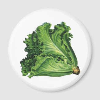 Vintage Vegetables; Green Leaf Lettuce Refrigerator Magnet