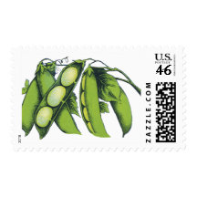 Vintage Vegetables; Lima Beans Stamp