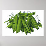 Vintage Vegetables; Sugar Snap Peas Posters